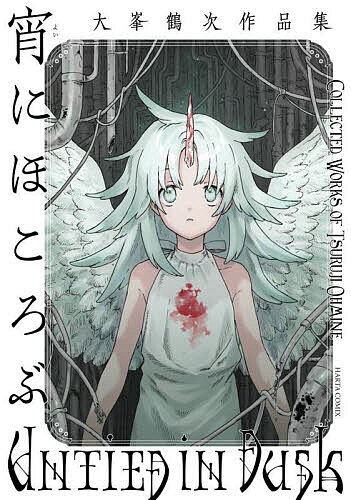 【送料無料】宵にほころぶ 大峯鶴次作品集／大峯鶴次