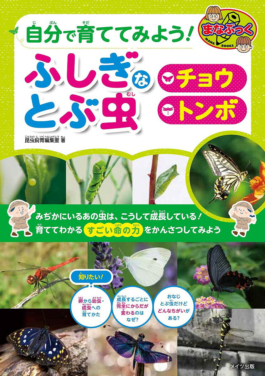著者昆虫飼育編集室(著)出版社メイツユニバーサルコンテンツ発売日2025年07月ISBN9784780430394ページ数112Pキーワードプレゼント ギフト 誕生日 子供 クリスマス 子ども こども じぶんでそだててみようふしぎなとぶ ジブンデソダテテミヨウフシギナトブ めいつ／ゆにば−さる／こんてん メイツ／ユニバ−サル／コンテン9784780430394内容紹介★ チョウ・トンボを育ててかんさつしてみると 理科がもっと楽しくなる!★ 育てかたのほかにも、 図鑑・クイズ・実験・自然についてなども紹介★ みぢかにいるあの虫は、 こうして成長している!★ 育ててわかる「すごい命の力」を かんさつしてみよう ＊卵から幼虫・成虫への育て方 ＊成長するごとに完全にからだが変わるのはなぜ? ＊おなじとぶ虫だけどどんなちがいがある?◇◆◇ 本書について ◇◆◇みなさんは、チョウやトンボを見つけたことがありますか?春になると、モンシロチョウがキャベツ畑の上をひらひらと飛び回ります。夏の庭では、大きなアゲハチョウが元気に花の蜜を吸いに来ることもあります。水辺では、シオカラトンボがスイスイと飛び回りながら、小さな虫を捕まえています。チョウやトンボは、昔から日本の自然の中で生きてきた身近な昆虫です。しかし、最近では数が減ってきています。その原因は、森や草むら、水辺の環境がかわってしまったことにあります。例えば、モンシロチョウやアゲハチョウの幼虫は育つ植物が減ると、食べ物がなくなってしまいます。また、田んぼや池の水が汚れてしまうと、トンボの幼虫であるヤゴが生きられなくなります。さらに、都会ではコンクリートやアスファルトが増えて、チョウやトンボが卵を産める場所も少なくなっています。チョウやトンボが減ることは、わたしたちの生活にも影響を与えます。チョウは花の受粉を助け、トンボは害虫を食べてくれる大切な役割を持っています。では、どうすればチョウやトンボを守ることができるのでしょうか?例えば、花壇やベランダにチョウが好きな花を植えたり、水辺のゴミを拾ったりすることで、彼らが暮らしやすい環境をつくることができます。また、公園や学校で自然を守る活動に参加するのもよい方法です。小さなことでも、みんなが協力すれば、チョウやトンボが元気に飛び回る未来をつくることができます。この本では、モンシロチョウ、アゲハチョウ、シオカラトンボについて、楽しく学べるお話しや観察のコツを紹介します。ぜひ、この本を読んだあとに、公園や庭でチョウやトンボを探してみてください。彼らのすがたを見つけたら、「どんなところが好きなのかな?」「どうやって生きているのかな?」と考えてみましょう。そうすることで、自然ともっと仲良くなることができますよ!※本データはこの商品が発売された時点の情報です。目次第1章 チョウとトンボってなに？/第2章 チョウとトンボの生態/第3章 チョウとトンボの育て方/第4章 チョウとトンボの体の仕組み/第5章 楽しい実験や活動/第6章 チョウとトンボを守ろう/第7章 チョウとトンボに関するクイズ/付録 チョウとトンボの図鑑