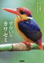 せかいのカワセミ/小宮輝之/ポンプラボ【1000円以上送料無料】