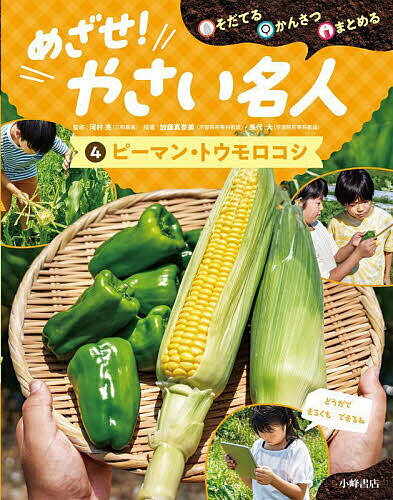 めざせ!やさい名人 そだてるかんさつまとめる 4／河村亮／加藤真奈美／長代大【1000円以上送料無料】