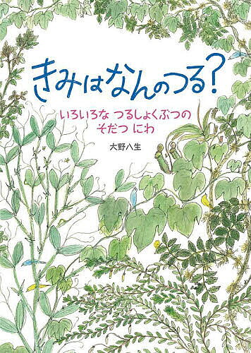 きみはなんのつる? いろいろなつるしょくぶつのそだつにわ／大野八生【1000円以上送料無料】