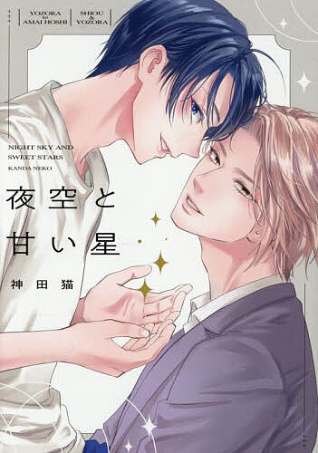 【送料無料】夜空と甘い星／神田猫