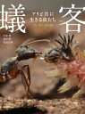 〔予約〕蟻客 アリと共に生きる虫たち/丸山宗利島田拓小松貴【1000円以上送料無料】