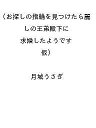 〔予約〕お探しの指輪を見つけたら麗しの王弟殿下に求婚したようです(仮) /月城うさぎ【1000円以上送料無料】