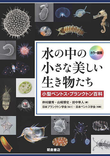 【送料無料】水の中の小さな美しい生き物たち 小型ベントス・プランクトン百科 カラー図解／仲村康秀／山崎博史／田中隼人