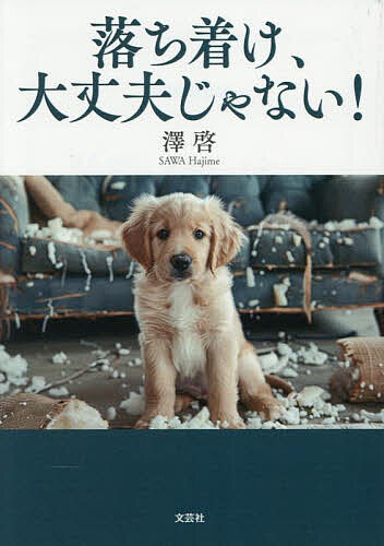 著者澤啓(著)出版社文芸社発売日2025年08月ISBN9784286266749ページ数158Pキーワードおちつけだいじようぶじやない オチツケダイジヨウブジヤナイ さわ はじめ サワ ハジメ9784286266749