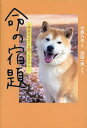 〔予約〕命の宿題 「殺処分ゼロ」を語った日から…/今西乃子/浜田一男【1000円以上送料無料】