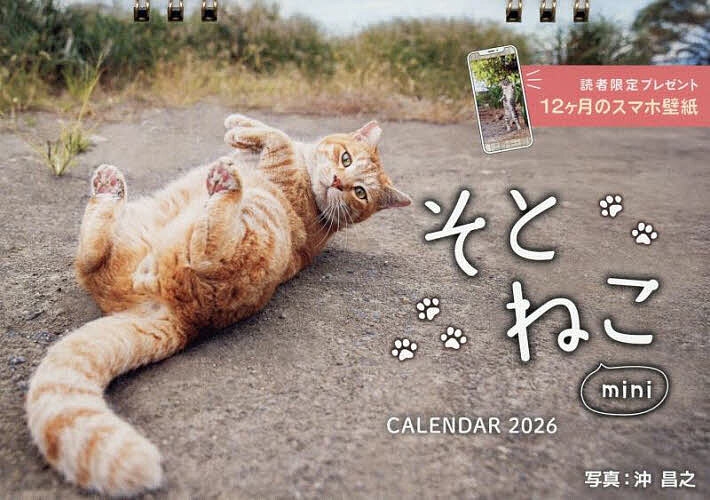 【送料無料】カレンダー ’26 そとねこmini