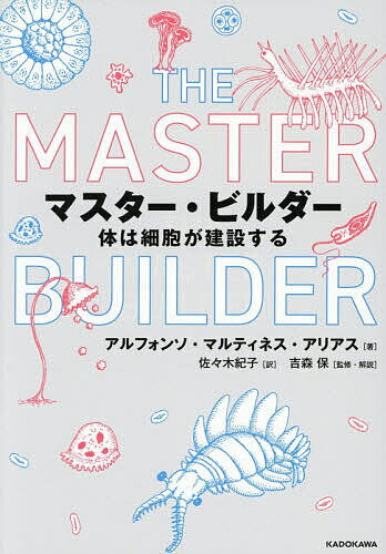纪实文学 - 【送料無料】マスター・ビルダー 体は細胞が建設する／アルフォンソ・マルティネス・アリアス／佐々木紀子／吉森保