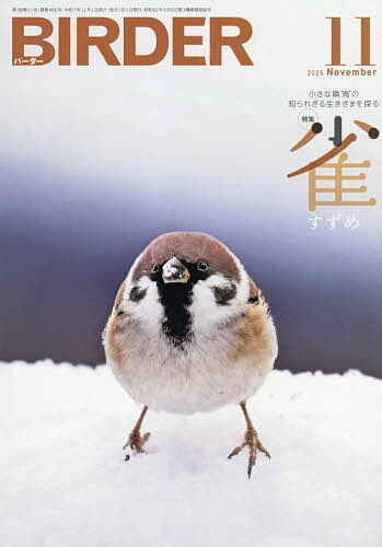 BIRDER 2025年11月号【雑誌】【1000円以上送料無料】