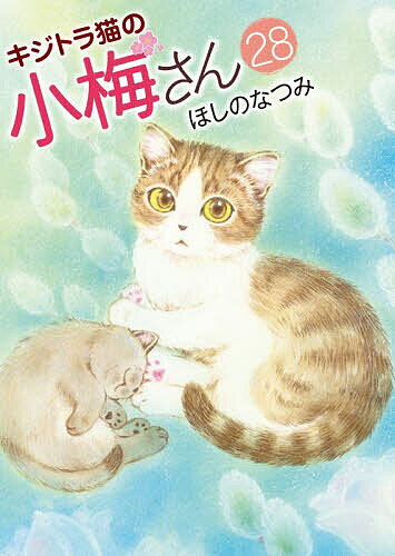 樂天商城 - 【送料無料】キジトラ猫の小梅さん 28／ほしのなつみ