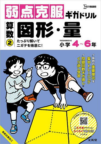 弱点克服ギガドリル算数 2【1000円以上送料無料】