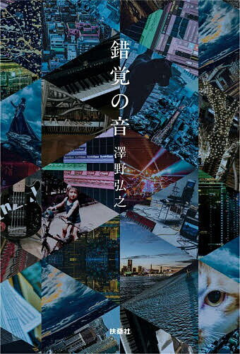 錯覚の音／澤野弘之【1000円以上送料無料】