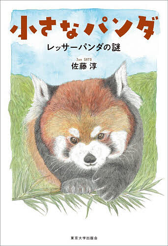 【送料無料】小さなパンダ レッサーパンダの謎／佐藤淳