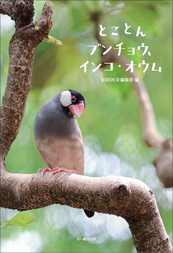 【送料無料】とことんブンチョウ、インコ・オウム／BIRDER編集部
