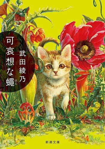 樂天商城 - 【送料無料】可哀想な蠅／武田綾乃