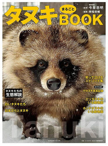 全面新版学習まんが中国の歴史（全11巻セット） [ 春日井明 ]