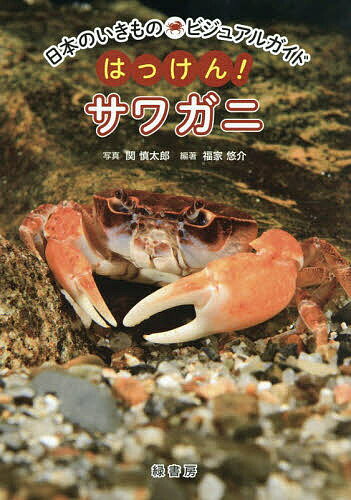 ※商品画像はイメージや仮デザインが含まれている場合があります。帯の有無など実際と異なる場合があります。著者関慎太郎(写真) 福家悠介(編著)出版社緑書房発売日2026年05月ISBN9784868110583ページ数159Pキーワードプレゼント ギフト 誕生日 子供 クリスマス 子ども こども はつけんさわがににほんのいきものびじゆあるがいど ハツケンサワガニニホンノイキモノビジユアルガイド せき しんたろう ふけ ゆうす セキ シンタロウ フケ ユウス9784868110583内容紹介おとなも、子どもも、親子でも楽しめる!広く、深く、おもしろい、サワガニの不思議に迫るビジュアルガイド。体の特徴から、種類、四季折々のくらし、飼育情報、人間とのかかわりや文化・歴史まで、豊富な写真とともにサワガニの秘密に迫る。研究者からのメッセージや自由研究のすすめ、サワガニに会える水族館・博物館、サワガニ研究を行う大学の研究室も紹介。●サワガニの暮らしを写真で紹介する巻頭ビジュアル。●サワガニの体の特徴的な部位をクローズアップ写真とともに解説。●日本にいるサワガニ24種を図鑑で紹介。●サワガニが1年を通してどのように過ごしているのか、写真とともに紹介。●サワガニを飼育する際に必要な環境や餌、注意点などを解説。●サワガニについての素朴な疑問をQ＆Aで解説。●人間とのかかわりや文化・歴史についても紹介。●サワガニ（カニ）研究者からのメッセージや、サワガニの観察方法などを紹介した「自由研究のすすめ」などを掲載。●サワガニに会える水族館・博物館を紹介。●小学校低学年からでも読みやすい総ルビ仕様。※本データはこの商品が発売された時点の情報です。