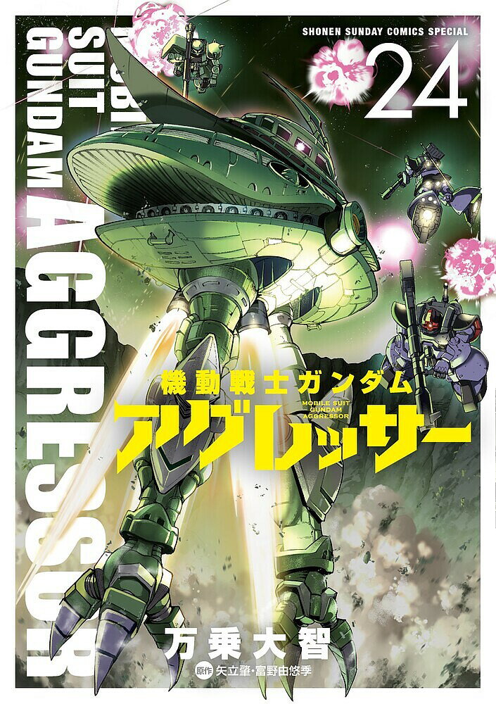【送料無料】〔予約〕機動戦士ガンダム アグレッサー 24
