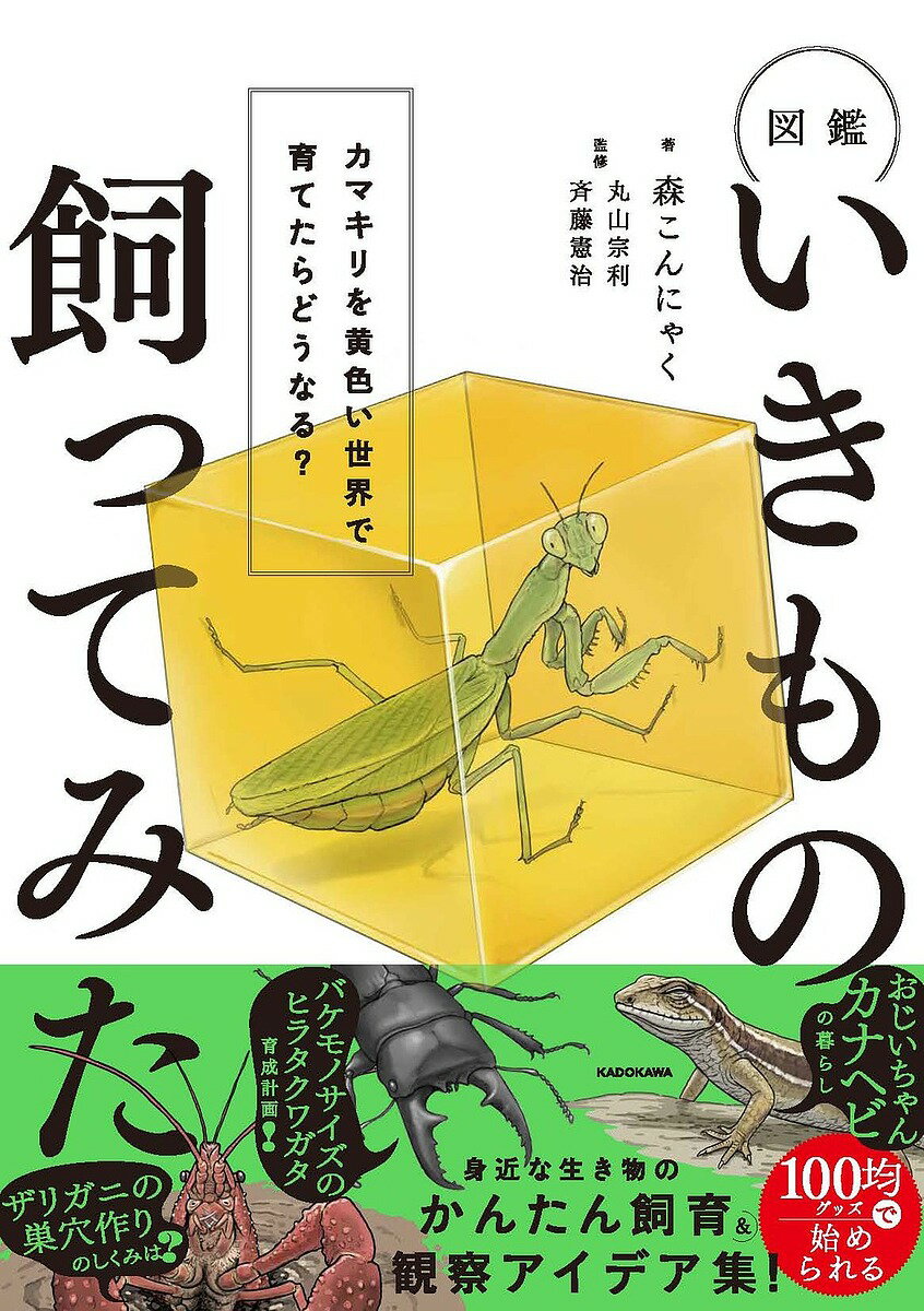 【送料無料】〔予約〕いきもの飼ってみた!図鑑 カマキリを黄色い世界で育てたら、どうなる?／森こんにゃく（楽天・bookfan 2号店 楽天市場店）