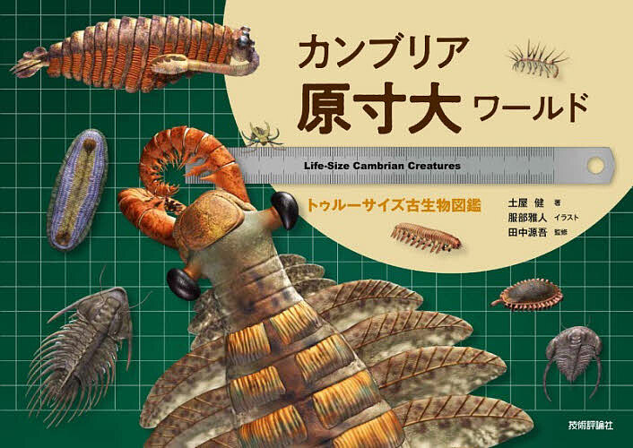 理科系のための実戦英語プレゼンテーション [ 廣岡慶彦 ]
