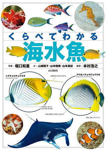 ※商品画像はイメージや仮デザインが含まれている場合があります。帯の有無など実際と異なる場合があります。著者堀口和重(写真) 山崎陽子(文) 山本晴美(文)出版社山と溪谷社発売日2026年07月ISBN9784635063791ページ数143Pキーワードくらべてわかるかいすいぎよ クラベテワカルカイスイギヨ ほりぐち かずしげ やまざき ホリグチ カズシゲ ヤマザキ9784635063791内容紹介日本近海で見られる海水魚約550種類の見分け方をくらべて紹介。似ているもの同士を見くらべられて、違いが一目瞭然！※本データはこの商品が発売された時点の情報です。目次サメ・エイの仲間/ニザダイ目/ペルカ目/ギンポ目/ハゼ目/ベラ目/サンフィッシュ目/アジ目/サバ目/ヨウジウオ目/ホタルジャコ目/ボラ目/アンコウ目/キンメダイ目/ヒメ目/ダツ目/ウナギ目/フグ目