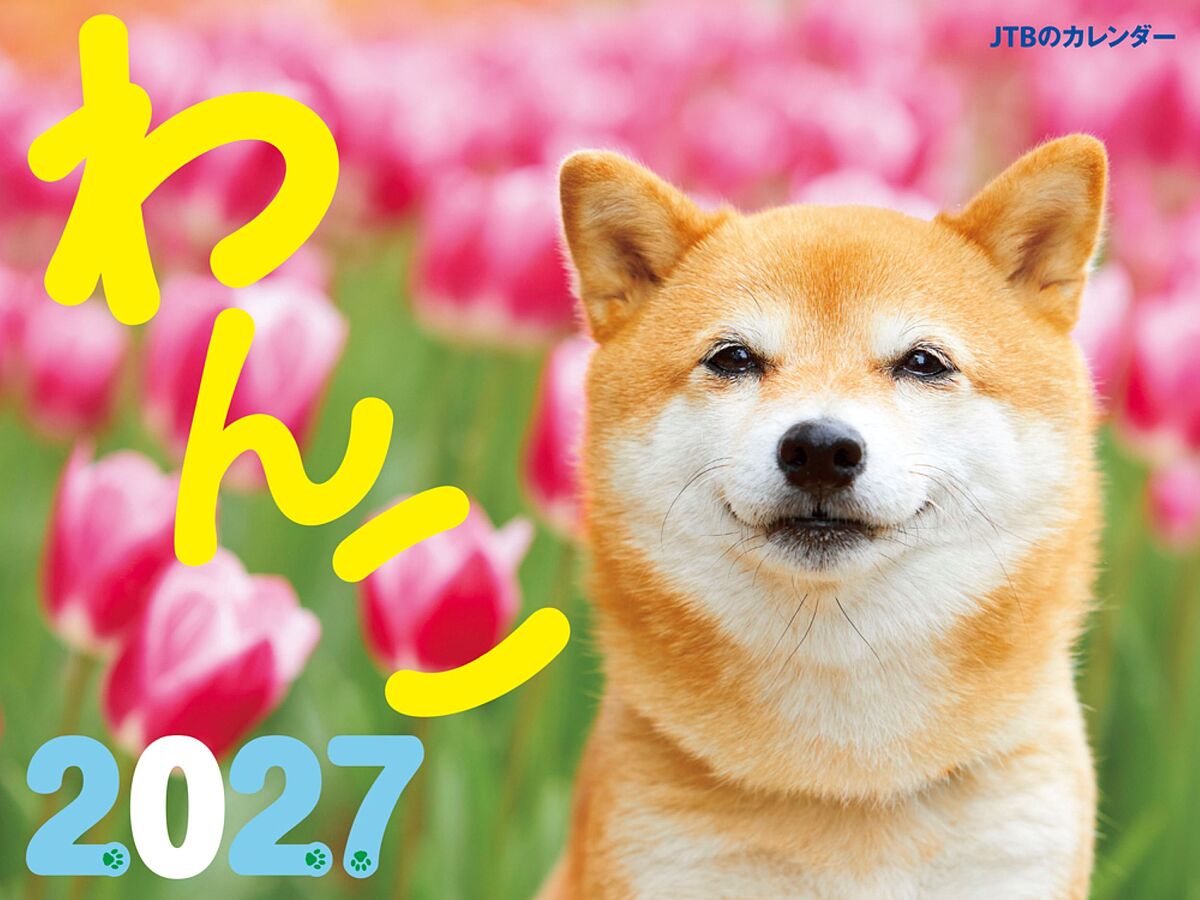 JTBのカレンダーわんこ2027／...