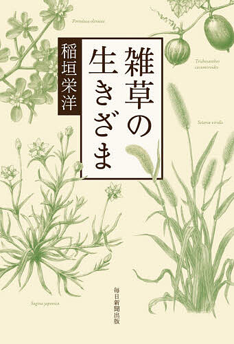 【最大10万Pt当たる！注文5千円以上&エントリー要 9/20~30限定】雑草の生きざま／稲垣栄洋