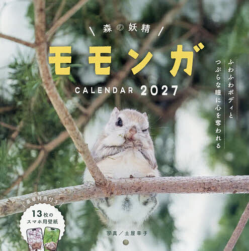 ※商品画像はイメージや仮デザインが含まれている場合があります。帯の有無など実際と異なる場合があります。出版社インプレス発売日2026年09月ISBN9784295025566キーワード2027もりのようせいももんがかれんだー 2027モリノヨウセイモモンガカレンダー つちやさちこ ツチヤサチコ9784295025566