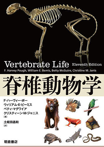 製品画像：29位