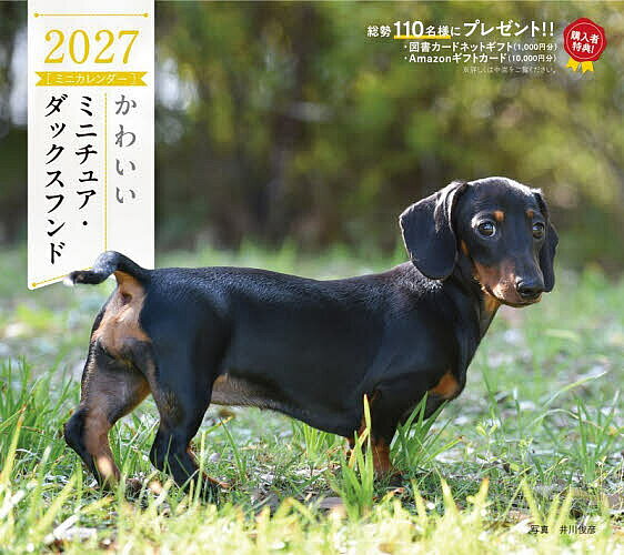 ＜最大10万pt当選※5千円以上購入&エントリー 8/20~31まで＞〔予約〕’27 カレンダーかわいいミニチュア