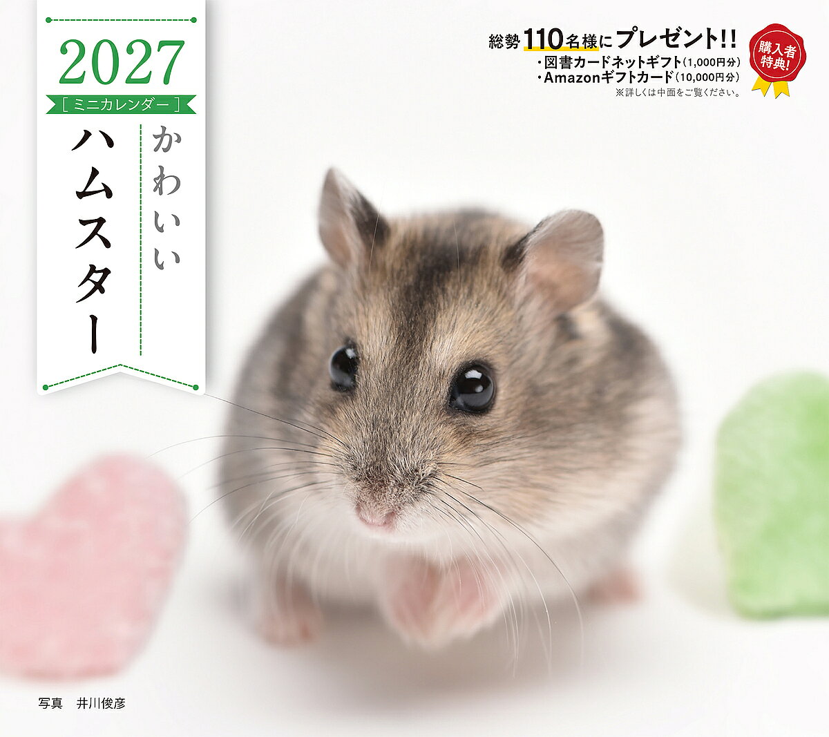 【送料無料】〔予約〕2027年カレンダー かわいいハムスター ／井川俊彦