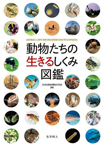 ※商品画像はイメージや仮デザインが含まれている場合があります。帯の有無など実際と異なる場合があります。著者日本比較生理生化学会(編)出版社化学同人発売日2026年08月ISBN9784759825862ページ数145Pキーワードどうぶつたちのいきるしくみずかん ドウブツタチノイキルシクミズカン にほん／ひかく／せいり／せいか ニホン／ヒカク／セイリ／セイカ9784759825862内容紹介動物たちが生きるしくみには、生きた知恵がつまっている。多様でありながら合理性と共通性をもつ動物たちの生きる工夫に、全154のトピックから迫ります。※本データはこの商品が発売された時点の情報です。目次1 感覚のしくみ（見る/聴く/嗅ぐ/味わう/温度を感じる/電気や磁気を感じる）/2 組織・器官のなりたち（循環器系/消化管の構造と生きるしくみ/神経系の進化/脳）/3 個体行動のしくみ（筋肉と運動のメカニズム/周期性を持つ動き/走性：方向性を持つ動き/ナビゲーション/探索行動/採餌行動/グルーミング/睡眠/学習・記憶）/4 経験と適応（生物リズム/季節適応/多相現象）/5 個体間行動のしくみ（捕食回避/闘争行動/擬態/求愛行動/生殖/愛着・養育/コミュニケーション/社会行動）