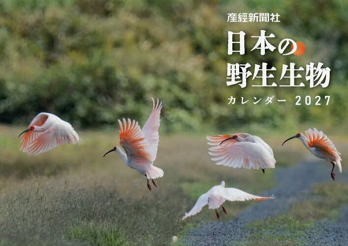 ※商品画像はイメージや仮デザインが含まれている場合があります。帯の有無など実際と異なる場合があります。出版社日本工業新聞社発売日2026年10月ISBN9784819140720キーワード2027にほんのやせいせいぶつかれんだー 2027ニホンノヤセイセイブツカレンダー9784819140720内容紹介産経新聞の報道カメラマンが撮影し、紙面などで話題となった、日本に生息するさまざまな野生生物の写真が カレンダーになりました。生命のきらめきに感動する12か月をお楽しみください。・A4見開き（壁掛け時A3）12か月・六曜つき・前月次月のカレンダー付で計画が立てやすい・最終ページに2028年カレンダー付・スケジュール面が大きく書きやすい＝＝＝＝＝＝＝＝＝＝＝＝＝＝＝＝＝＝＝＝＝＝＝＝＝＝＝＝＝＝＝＝＝【 1月 】エゾクロテン＝北海道新得町【 2月 】タンチョウ＝北海道標茶町【 3月 】イトウ＝北海道北部【 4月 】ウマ＝宮崎県串間市【 5月 】ラッコ＝北海道浜中町【 6月 】ダイトウオオコウモリ＝沖縄県南大東村【 7月 】 ヤンバルクイナ＝沖縄県国頭村【 8月 】マッコウクジラ＝東京都父島沖【 9月 】 シマフクロウ＝北海道知床半島【 10 月 】ニホンジカ＝宮城県石巻市【 11 月 】エゾナキウサギ＝北海道美瑛町【 12 月 】ニホンザル＝長野県山ノ内町【 表紙 】トキ＝新潟県佐渡市※本データはこの商品が発売された時点の情報です。