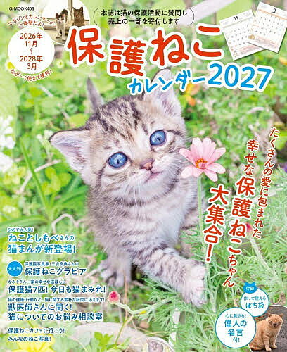 【送料無料】保護ねこカレンダー 2027