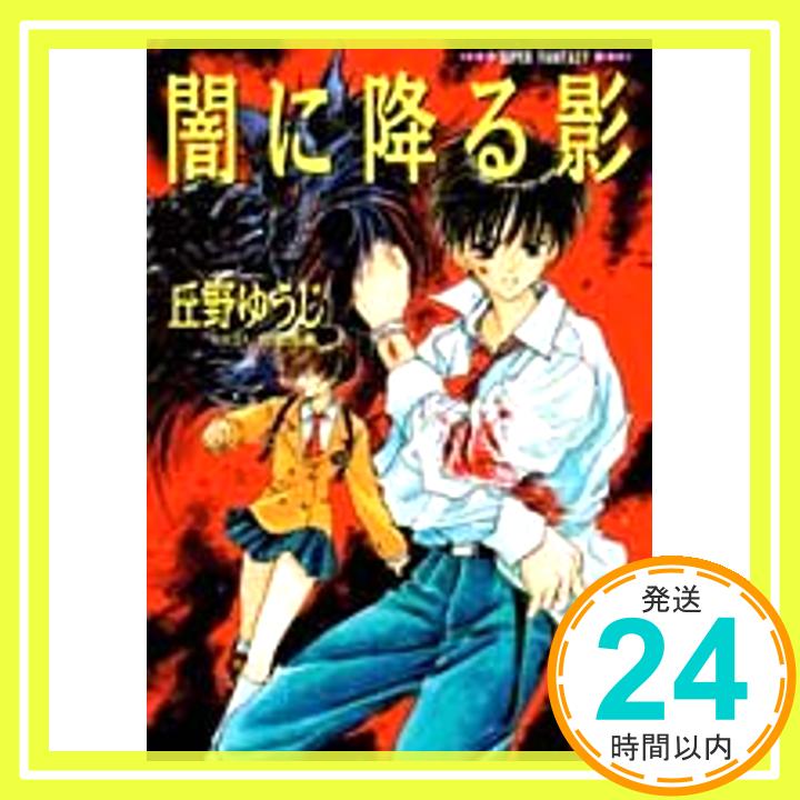 【中古】闇に降る影 (集英社スーパーファンタジー文庫) 丘野 ゆうじ; 佐倉 尚義「1000円ポッキリ」「送料無料」「買い回り」