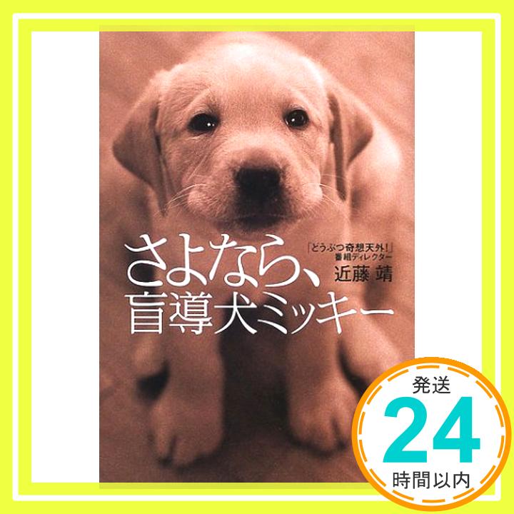 【中古】さよなら、盲導犬ミッキー