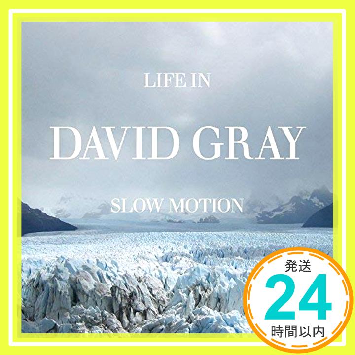 Life in Slow Motion  David Gray「1000円ポッキリ」「送料無料」「買い回り」