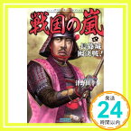 【中古】戦国の嵐4: 長篠城囮決戦! (歴史群像新書) 津野田 幸作「1000円ポッキリ」「送料無料」「買い回り」