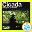 【中古】Cicada [CD] 槇原敬之; Thunder Babies「1000円ポッキリ」「送料無料」「買い回り」