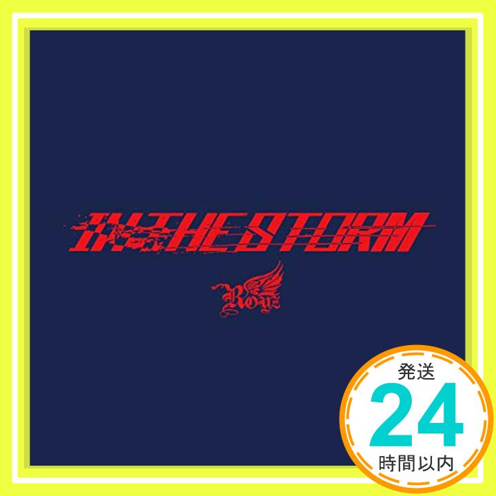 【中古】IN THE STORM (初