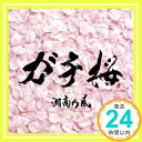 【中古】ガチ桜 CD 湘南乃風「1000円ポッキリ」「送料無料」「買い回り」