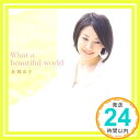 【中古】What a beautiful world [CD] 美郷あき、 RUCCA、 NabU.、 shilo、 関野元規、 石川智久(TECHNOBOYS PULCRAFT GREEN-FUND); 市川淳「1000円