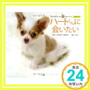 【中古】ハートくんに会いたい 見る人を幸せにする“しるし を持つチワワ フォトブック 桜田 恵美子 佐藤 亜紀子 三島 正「1000円ポッキリ」「送料無料」「買い回り」