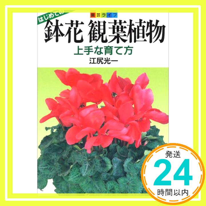 【中古】鉢花観葉植物: 上手な育て