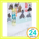 美剣士騒動-はぐれ長屋の用心棒(30) (双葉文庫)  鳥羽 亮「1000円ポッキリ」「送料無料」「買い回り」