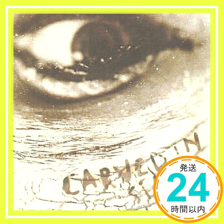 【中古】Carved In Stone CD Vince Neil ビンスニール「1000円ポッキリ」「送料無料」「買い回り」