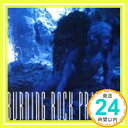 【中古】BURNING ROCK PRINCE 2 CD オムニバス TM NETWORK 久保田利伸 HOUND DOG 米米CLUB 宮原学 小松康伸 千年COMETS BARBEE BOYS 織田