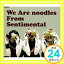 šWe Are Noodles From Sentimental [CD] noodles1000ߥݥåס̵ס㤤