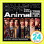 šAnimal(CD) [CD] BALLISTIK BOYZ from EXILE TRIBE1000ߥݥåס̵ס㤤